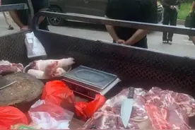 城管查扣300多斤猪肉后私分？城管局局长回应：肉贩长期占道经营，肉已经过检疫送往福利院图片