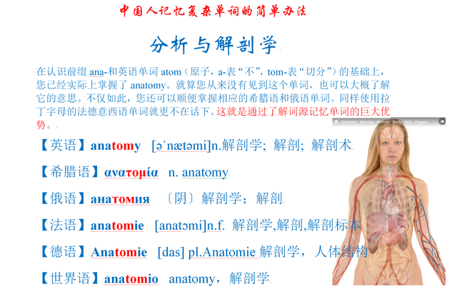中国人记忆复杂单词的简单办法：分析与解剖学