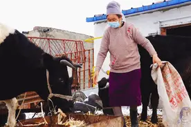 走向我们的小康生活丨阿丽娅·索里堂：幸福靠自己，好日子双手来创造图片