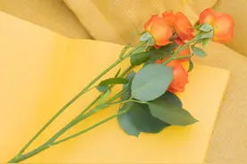 水瓶座是社交之星，还是爱孤独？这个问题需要辩证来看图片