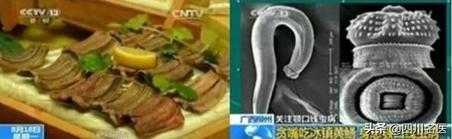 鱼鳞扁平白色多爪寄生虫