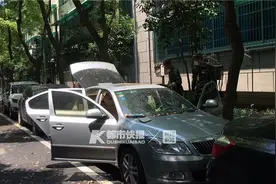 空调滤芯里发现1米长蛇皮！这半个月它不仅活着，还长大了！杭州小区车里盘着一条蛇追踪图片