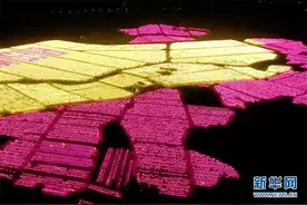 壮观！飞阅3000亩火龙果种植基地图片