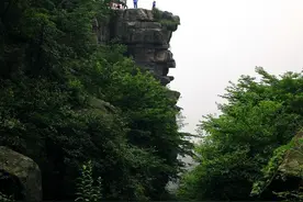 忆庐山被宰的往事图片