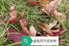 等闲变却故人心（之一）图片