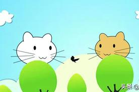 海盗和会十国语言的猫 儿童睡前故事 童话故事全集图片