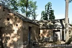 寻遍天下宝藏之玲珑金洞图片