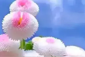 有人建议取消一次性奖励工资，阜阳市作出回复：未接到取消的通知图片