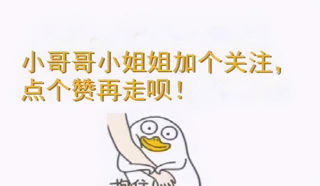 老祖宗说：一只猫有这些特点，是真的“旺家”