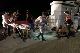 韩国首尔市长遗体已被找到 韩媒还抛出两大诱因图片