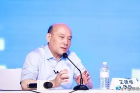 王德培：部分城市房价还要一个年代到天花板图片