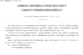 大理州好样儿的！82个地方 突破限制成功参评云南省2021年度美丽村庄图片