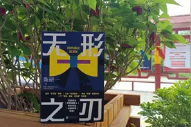 这是最近看过最爽的推理小说了，没有之一图片