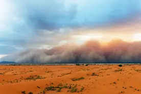 每年1.82亿吨沙尘，撒哈拉沙漠滋养亚马逊雨林，美国人却痛苦不堪图片