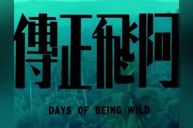 王家卫三部曲—《阿飞正传》无脚鸟的群舞图片