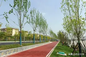 三河一山”绿道将开放图片