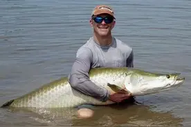 溺水而死的鱼图片