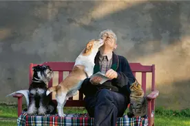 猫狗到底听得懂自己的名字吗？科学家做了一个实验图片