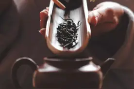茶友品鉴|Ara：一品“红印”，心之所想。图片