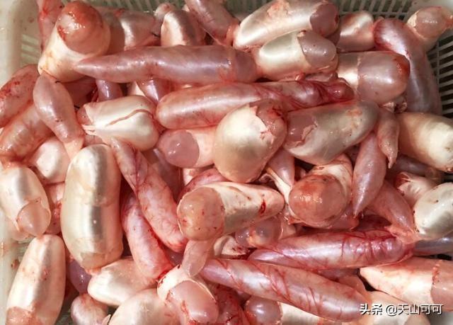 干鱼泡多长时间最好 2025年干鱼泡多久