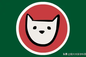 漱口水能不能代替刷牙？超市的漱口水和医院的漱口水有啥区别？图片