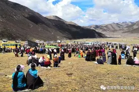 从冬虫夏草行业发展史看人工种植虫草入侵的弊端（二）——坐商期图片