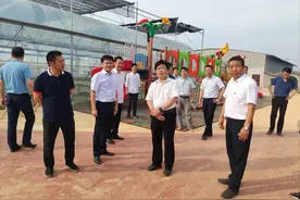 划定目标分步实施 郭波调研章山街道汪仁镇工作图片