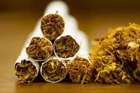 烟草简史：从美洲“万灵药”到全球最流行的瘾品图片