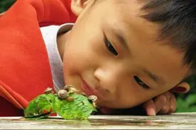 好奇心，孩子探索世界的钥匙，家长做到这3点，满足孩子好奇心图片