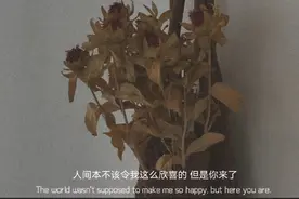 费尽心机走近了，却不知不觉走尽了图片