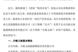 受青海祁连山非法开采波及 大有能源全资子公司停产图片