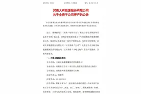 受青海祁连山非法开采波及 大有能源全资子公司停产图片