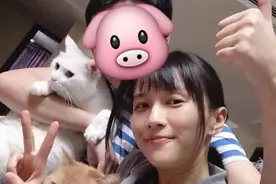 Papi酱罕见秀恩爱撒狗粮，老胡趴地拍照，主角却不是老婆？图片