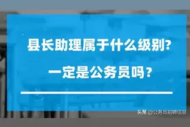 县长助理是什么级别？是领导吗？图片