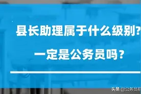 县长助理是什么级别？是领导吗？图片