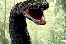 海南在古代是蛮荒之地，不仅毒蛇猛兽横行，还有可怕的食人族图片