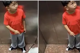 “阿姨我能摸一下狗狗吗？”“叫姐姐”，萌娃的脑回路笑翻网友图片