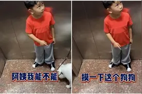 “阿姨我能摸一下狗狗吗？”“叫姐姐”，萌娃的脑回路笑翻网友图片