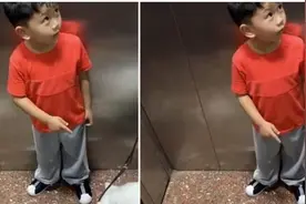 “阿姨我能摸一下狗狗吗？”“叫姐姐”，萌娃的脑回路笑翻网友图片