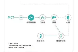 为什么贝克汉姆等明星都争相为含有MCT的防弹咖啡打Call图片