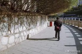 66岁大爷：现在的女人太高傲了，个个都喊单身快乐，拒绝搭伙图片