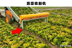 农业机械化：使农业上升到另一个层次的5大机械图片