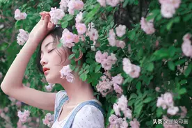 蔷薇花开满墙，现在拍正当时……如何拍摄浪漫、文艺花墙人像照？图片