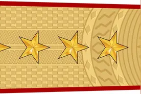 各国军衔标识：越南图片