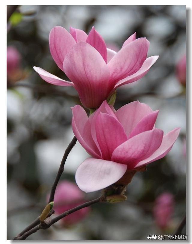 相思无益，十诫说与君知