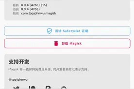 安卓11的MIUI12.5的面具解决方法图片