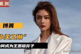“寒门贵女”傅菁，人送外号“小关之琳”，为何不被王思聪待见？图片