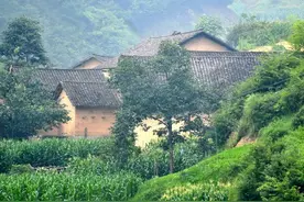 农村兄弟反目成仇，原因却是为了一个寡妇，到底怎么回事？图片