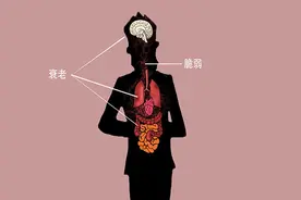 器官什么时候开始老化？其实远远早于你的想象，别等衰老了再去养图片