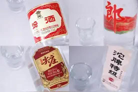 谁是光瓶酒“性价比之王”？春节口粮酒“四大天王”测评PK图片